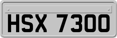HSX7300