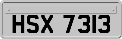 HSX7313