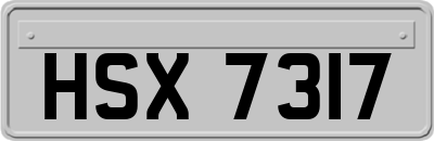 HSX7317