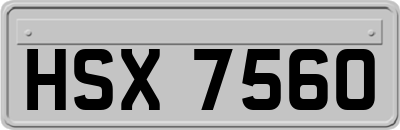 HSX7560