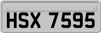 HSX7595