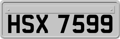 HSX7599