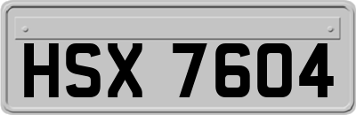 HSX7604
