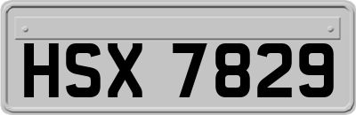 HSX7829