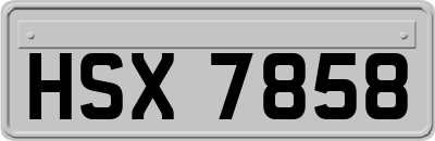 HSX7858