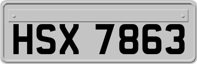 HSX7863