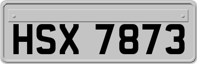HSX7873