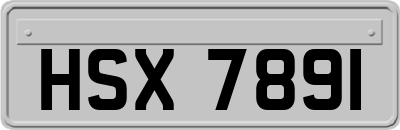 HSX7891
