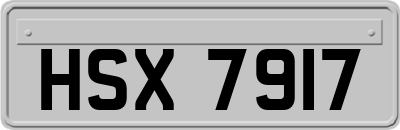 HSX7917