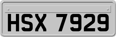 HSX7929