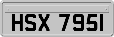 HSX7951