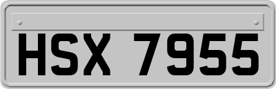 HSX7955