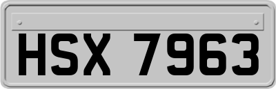 HSX7963