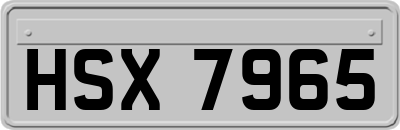 HSX7965