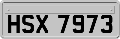 HSX7973