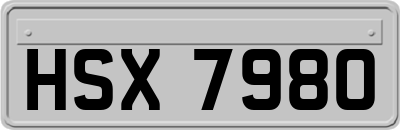 HSX7980