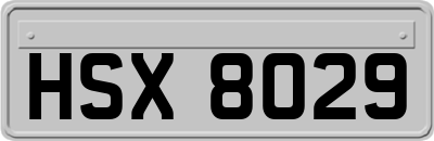 HSX8029