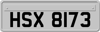 HSX8173
