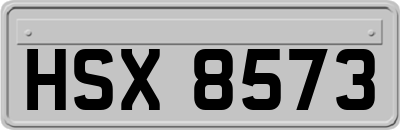 HSX8573