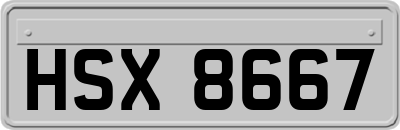 HSX8667
