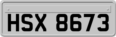 HSX8673