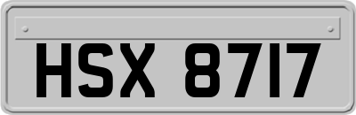 HSX8717