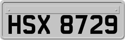 HSX8729