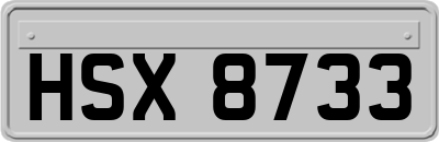 HSX8733