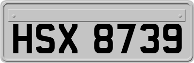 HSX8739