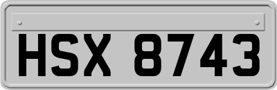 HSX8743
