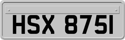 HSX8751