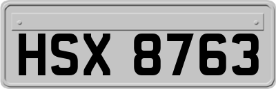 HSX8763
