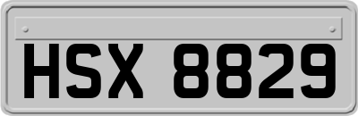 HSX8829
