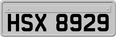 HSX8929