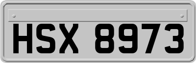 HSX8973