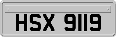 HSX9119