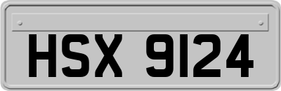 HSX9124