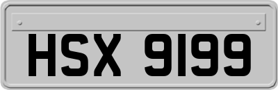 HSX9199