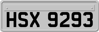 HSX9293