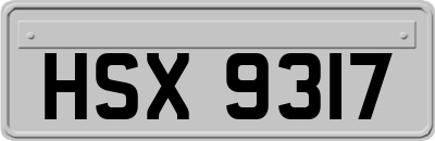 HSX9317