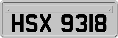 HSX9318