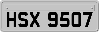 HSX9507