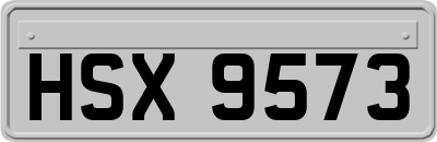 HSX9573