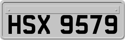 HSX9579
