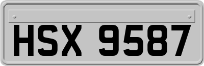 HSX9587