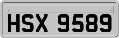 HSX9589