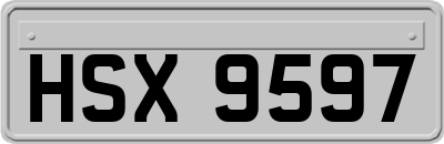 HSX9597