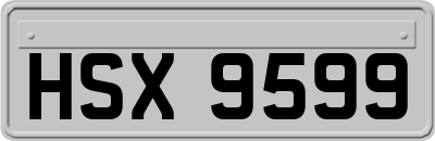 HSX9599