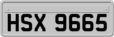 HSX9665