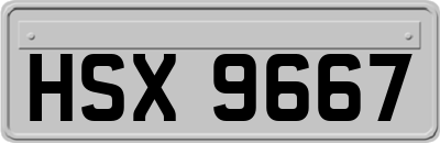 HSX9667